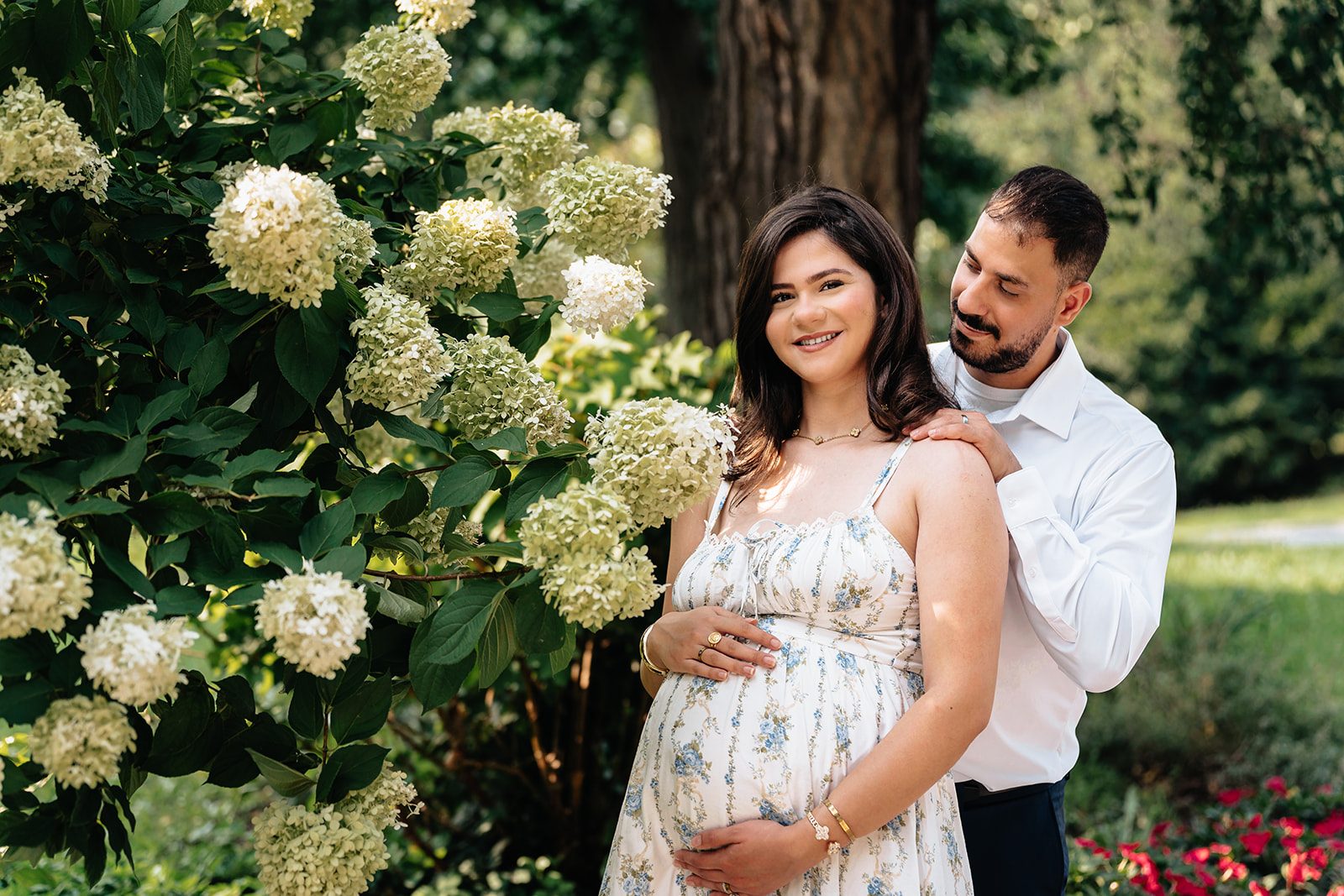 Hala and Abe standing beside a tall white hydrangea bush in the Cleveland Cultural Gardens, his hands resting over hers on her baby bump