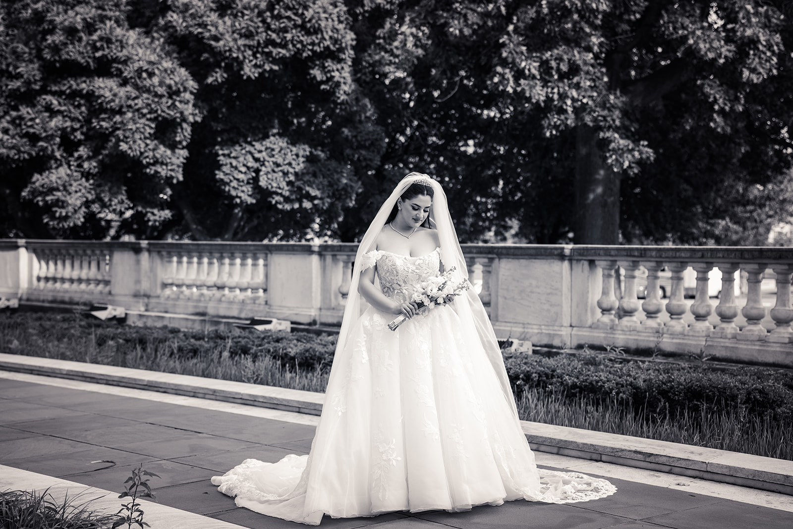 Diana & Demetri Wedding